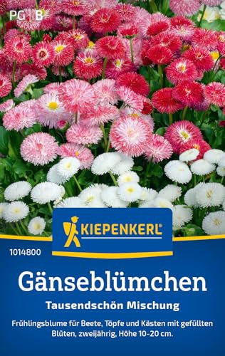 Kiepenkerl Gänseblümchensamen Tausendschön Mischung 1014800 - Blumensamen für eine schöne Frühlingsblume mit einer Wuchshöhe von 10 bis 20 cm - Pflanzen, Saatgut