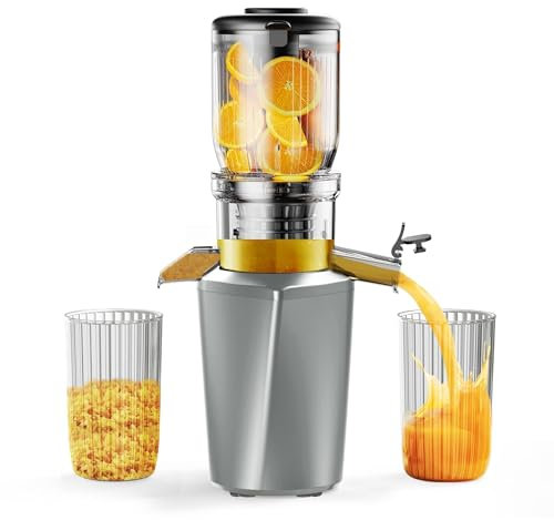 Fyenkfar Gli spremiagrumi sono la scelta ideale per bevande sane che ricevono sostanze nutritive, supportano una dieta varia e sono sicuri e innocui (Grigio Ferro)