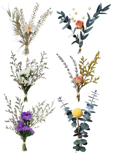 JUKOTA Paquetes de Mini Ramo de Flores Secas Naturales, Ramilletes Flores Secas, Flore Seca Pequeñas para El Marco De Fotos DIY Fiesta En Casa Y Decoraciones De La Boda(6PCS)