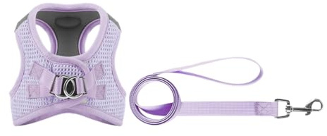 Gilet per cani Guinzaglio riflettente per addestramento Cintura da passeggio per cani taglia, media e piccola Corda Set imbracatura e guinzaglio per gilet per multicolore