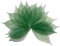100 Stück 10,2 - 12,7 cm Skelettblätter, Gummibaum, natürliches Scrapbooking, Basteln, Karten, Hochzeit, große Blätter (grüne Farbe)