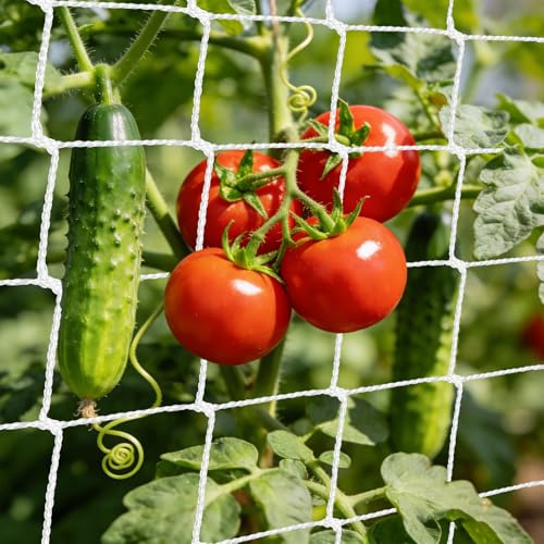 Rete per Piante Rampicanti, 1.5 * 4.5M Rete per Rampicanti e Ortaggi da Giardino, Rete a Traliccio da Giardino, Rete di Supporto per Piante, Cetrioli, Pomodori, Fagioli, Fiori, Ortaggi e Frutta