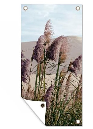 MuchoWow Poster exterieur Herbe de la pampa - Sable - Plantes - Dune Decoration murale 40x80 cm Résistant aux intempéries/soleil