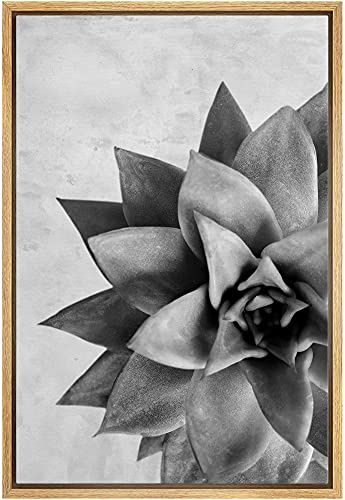 Woodrose Framed Canvas Print Wall Art Grayscale Lipstick Echeveria Succulent Floral Plants Photography Realism Southwest CloseUp Black and White for Living Room, Bedroom, Office - 16x24 NATURAL