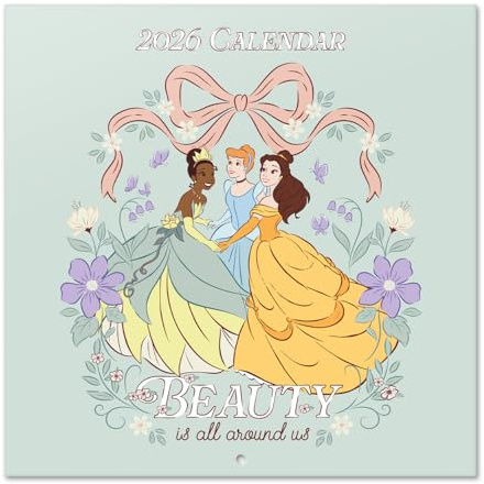 Grupo Erik: Calendario 2026 da Muro Principesse Disney |Calendario geniale 2026-30x30cm, Planner 2026 - Mensile da Parete