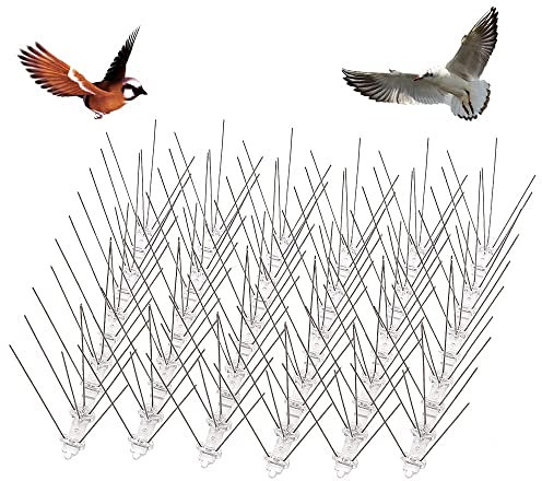 Homo Trends 6 pinchos antipájaros para palomas, pájaros pequeños, gatos, cuervos, urracas, gaviotas, espantadores de pájaros para jardines, techos de balcón, ventanas