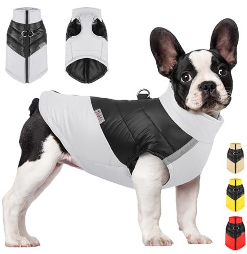YOUYIKE Hundemantel für Hunde, Hundekleidung, Hundemantel Wasserdicht Hundejacke Winter Warme Jacke für Kleine Mittelgroße Hunde Hundebekleidung Warm Haustier Kleidung für Kaltes Wetter (Grau, M)