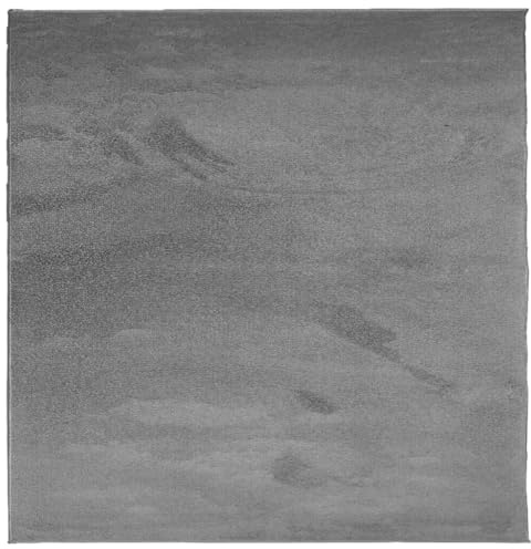 vidaXL Teppich, Wohnzimmerteppich Kurzflor Modern, Bodenteppich Flauschig Weich, Pflegeleicht Teppich für Wohnzimmer Schlafzimmer, Anthrazit 240x240cm