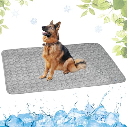 LEZUAN Colchonetas Refrescante para Perros, Alfombrilla para Perros en Verano, Alfombra de enfriamiento para Gatos Seda de Hielo, Esteras Autoenfriamiento para Mascotas Lavable(Gris,70x100cm)