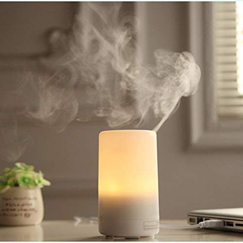 Kyansin Diffusore di Aromi, 50ML Diffusore di Oli Essenziali,Ultrasuoni Purificatore Aria, Umidificatore con 7 Colori LED Selezionabili, Porta Caricatore USB,Nebbia Fredda perUfficio, Casa