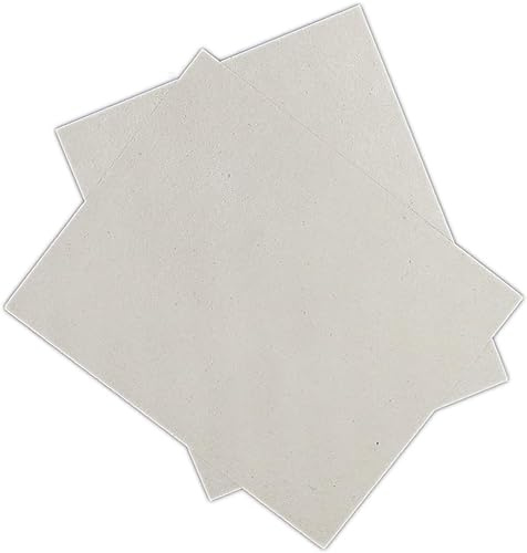 RYELDOM - 2 láminas de mica para microondas univesales de 30 x 30 cm. Accesorios para horno compatibles con todos los modelos. Fácil de cortar con un cúter.