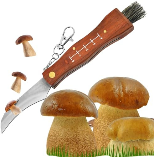 Cutiolly Pilzmesser mit Bürste,Pilzmesser,Tragbares Pilzmesser,Pilzmesser Klappbar,Schwammerlmesser mit Pinsel,Schwammerlmesser,Champignon Trüffel Taschenmesser