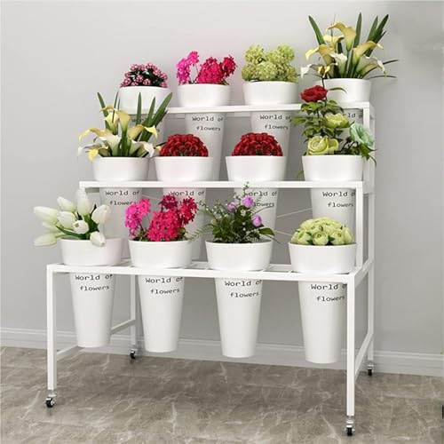 ASerZenith Espositore per Carrelli Portafiori, Scaffale per Carrelli Portafiori, Scaffale per Fiori Mobile con Ruote（120X73X112Cm）