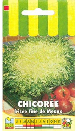 Sachet de graines de Chicorée frisée fine de Meaux - 3 g - légume feuille - LES GRAINES BOCQUET