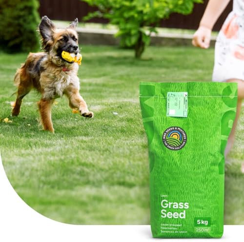 Family: Gazon Sport et Jeux | 15 kg - 750 m² | Résistant au Piétinement | Qualité : Coupe du Monde | 90% de Germination | Convient à tous les types de sol