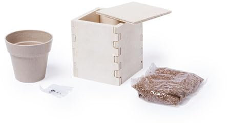 DISOK Lote 10 Macetas Biodegradables Semillas Menta en Caja Madera. Detalles macetas bio boda, bautizos y comuniones.