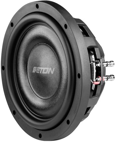 Eton MW 10 Flat - Subwoofer potente, piatto da 25 cm/10 pollici, basso a lunga corsa per auto, altoparlante con magnete in ferrite, 2 x 2 ohm, 2 x 350 Watt, 1 pezzo
