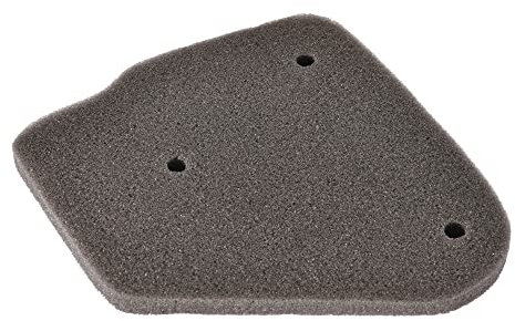 WOOSTAR Filtros Aire Moto Elemento Reemplazo para 2 Tiempos 50cc 70cc 90cc JOG Minarelli Polaris Jonway Qlink Eton Scooter ATV Quad Dirt Pit Bike