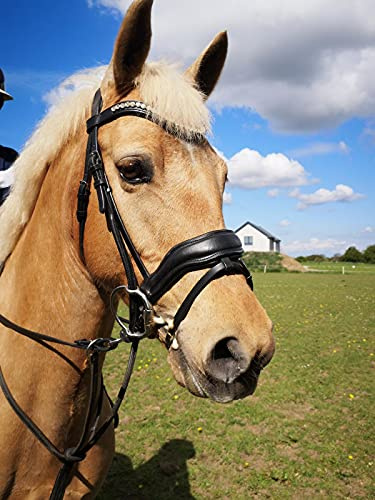 Countrypride EQUIPRIDE ANATOMICAL BRIDLE ABRAM DIAMANTE BROWBAND WITH ANTI SLIP RUBBER REINS BLACK & BROWN (Brown, Full)