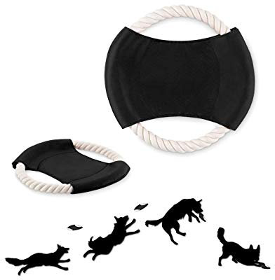 Frisbee für Hunde | Wurfscheibe für Spiel und Training | perfekte Hundefrisbee für kleine Hunde, große Hunde und Welpentraining