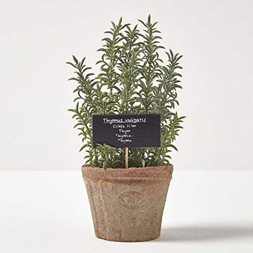 Homescapes Künstlicher Thymian im Terrakotta-Topf, dekorative Kunstkräuter, getopft in dekorativem Pflanzgefäß für Innendekoration, 16 cm hoch