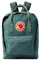 Fjällräven Unisex Kånken Laptop 13 13L Sports backpack, Frost Green