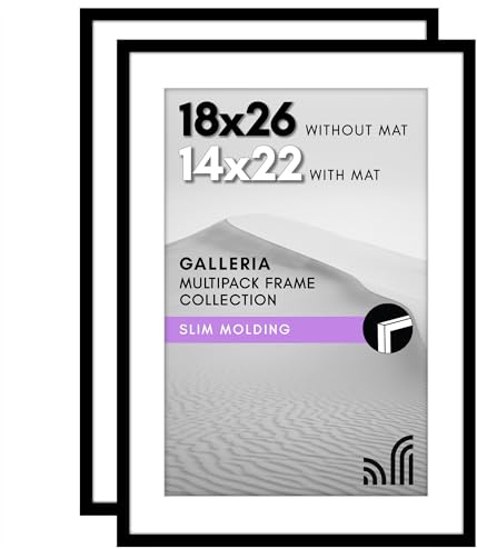 Americanflat 18x26 Poster Frame Set of 2 - Polished Plexiglass - Use as 14x22 With Mat or 18x26 Without Mat - Galleria Collection - Gallery Wall Display - Black