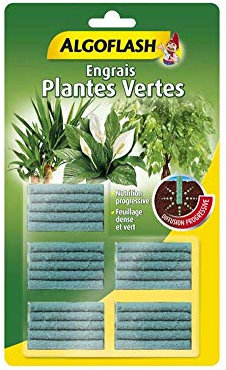 Algoflash abapava Set di 25 Bastoncini Fertilizzante Piante Verdi, Verde, 14.5 x 1 x 24.5 cm