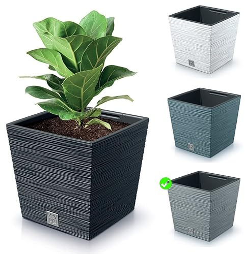 rg-vertrieb Blumenkasten Blumenkübel Blumentopf Pflanzkübel Quadrat Furu Low Tannennadeln Design mit Einsatz Struktur (300 Grau)