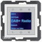 Berker Radio Touch UP DAB+ BT S.1/B.x pwg 30848989