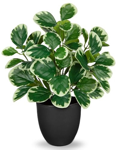 Oairse Fake Plants 37cm Artificial Plants Indoor with Black Pots Decorative Fake Potted Plants Realistic Faux Peperomia Plant for Home Office Kitchen Bathroom Living Room Shelves Desk Décor
