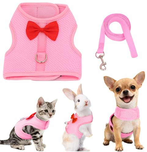 AIITLE Ensemble harnais et laisse avec nœud mignon, harnais en maille douce et respirante pour lapins, chatons, furets, chiots et petits animaux de compagnie, rose, taille S