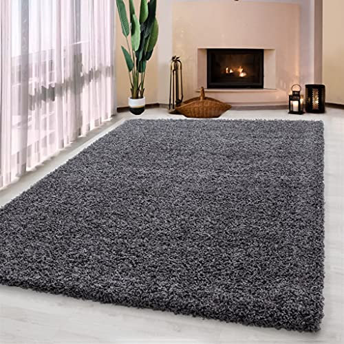 UETIAN Luxurious Shaggy Rugs Soft Extra Thick Area Rugs Heavy 5cm Dense Pile for Living Room Bedroom Hallway (Dark Grey, 120 x 170cm)