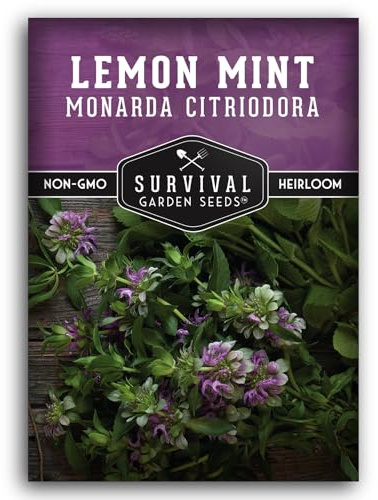 Lemon Mint Seeds for Planting (Monarda Citriodora) | Lemon Bee Balm/Horse Mint Medicinal Herb & Tea Garden Plant, Pollinator Friendly for Bees & Butterflies - Survival Garden Seeds (1 Pack)