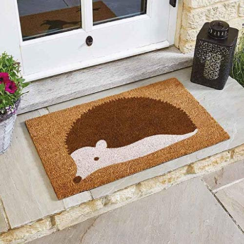 HomeZone Door Mats 75x45cm – Absorbent, Non-Slip Hedgehog Doormat for Back & Front Door - Stylish Low Profile, Dust & Dirt Trapping Doormat, Barrier Mat & Entrance Rugs (Spike)