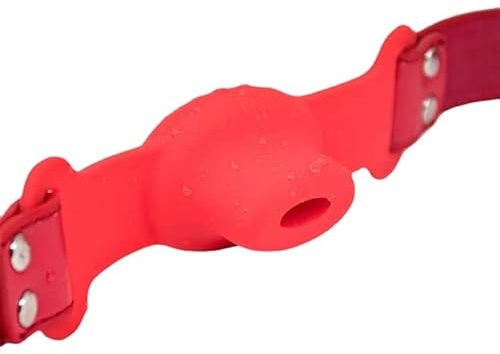 SM Silikon Hohl Mund Plug Offener Mund Flail Appliance Teaching Fun Erwachsene Weibliche Supplies Spielzeug