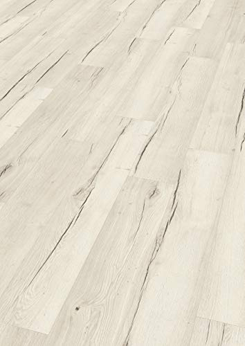 EGGER Home Laminatboden Aqua+ EHL105 Creston Eiche weiss (8mm, 1,995m²) | authentische Holzoptik | | Einfache Verlegung durch CLIC It! System | Wasserresistent & feuchtraumgeeignet