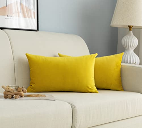 Coppia Federe Cuscini in Velluto Per Divano e Letto Copricuscini Antiacaro e Ipoallergenico Arredamento Casa con Zip Invisibile 2 pezzi (30x50cm, Giallo)
