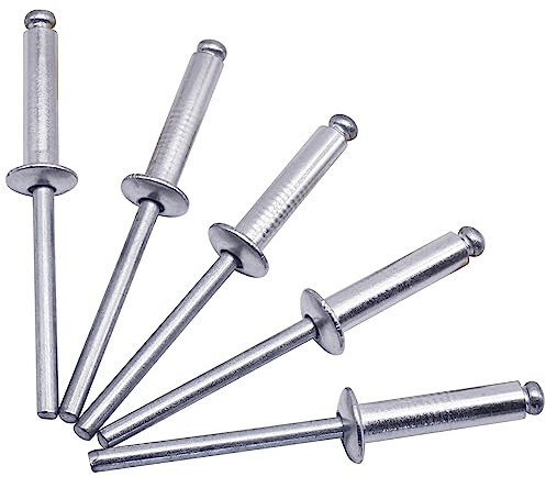 Confezione da 100 rivetti ciechi 4,8 x 20 mm, testa a cupola tipo aperto, DIN 7337, rivetti in alluminio e mandrino in acciaio, rivetti pop (100, 4,8 x 20 mm)