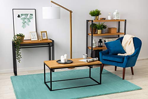 rugsx Modern teppiche Bunny für Kinderzimmer, Wohnzimmer, Schlafzimmer, sehr dick, Plüsch, Aqua-blau 140x190 cm