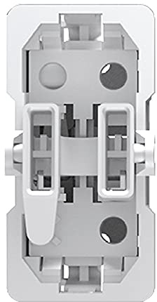 BJC Coral-Sol-Rehabitat - Cruzamiento ,16507