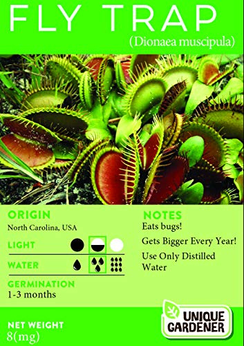 Exotic Venus Flytrap (Dionaea muscipula) Seeds Count: 30 Seeds
