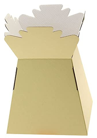 Floralcraft Cream Hand-Tied Living Vase Florist Bouquet Box, Presentation/Transporter Box/Flower Plant Aqua Boxes, (Pack of 20)