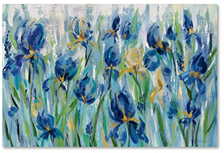Trademark Fine Art WAP02128-C3047GG Silvia Vassileva 'Iris Flower Bed'