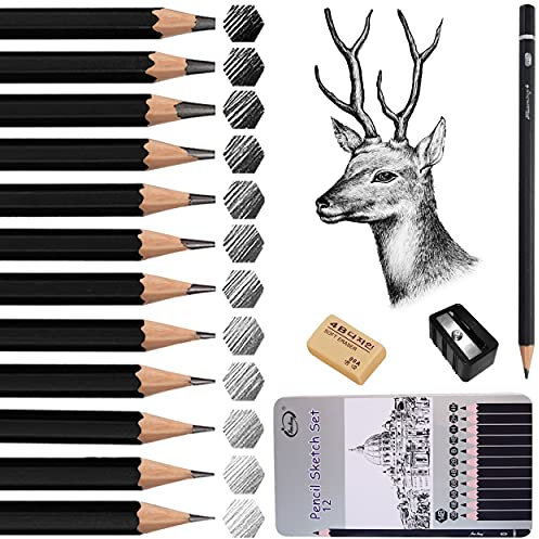 Surcotto Bleistift Set, 12 Zeichenstifte Set, 14B 12B 10B 8B 6B 4B 2B B HB H 2H 4H, Skizzienstifte mit Spitzer und Radiergummi, für Kinder Erwachsene Anfänger Professionelle zeichnen