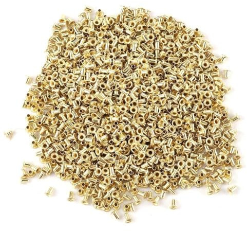Ruche d'abeille en Laiton, Cadre de nid, œillets, Outils pour Apiculteur, 1000/10000 pièces (1000 pièces)