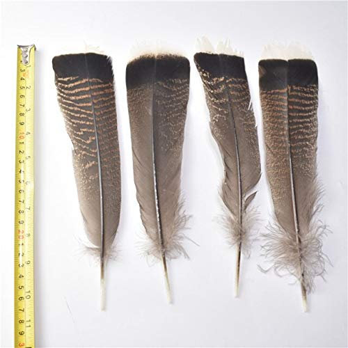 LYFANG Verschiedene echte natürliche Adlerfedern, 10 Stück, 15–40 cm, Adlervogelfedern zum Basteln, Basteln, Hochzeit, Dekoration, Federn