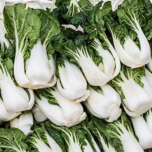 Cabbage Seeds - Pak Choi - Joi Choi - Hybrid - 1 Gram Packet ~153 Seeds - Non-GMO, F1 Hybrid - Asian Garden Vegetable