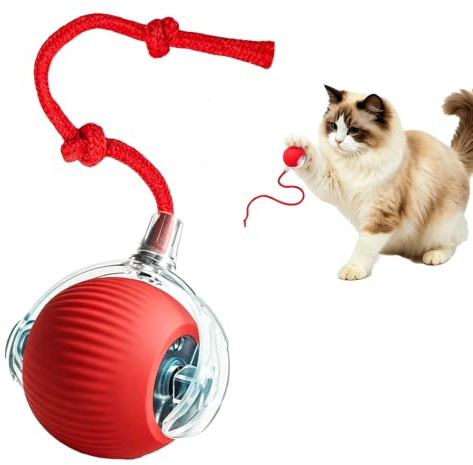 Interactive Cat Toy Ball, Smart Automatic Moving Electric Pet Toy for Indoor Cats Dogs, USB Rechargeable Interactive Dog , Active Rolling Chase Toy for Boredom Relief & Exercise (Red, 6cm)