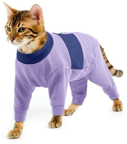 QBLEEV Cat Clothes, Soft Cat Sweaters for Cats Only, Kitten Surgery Recovery Suit Onesie Pajamas, Four Legs Cats Shirts Apparel Clothing for Hair Loss Prevention, Purple, M